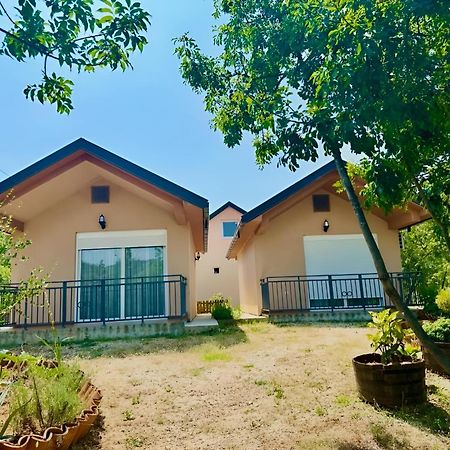 S&M Apartments Rijeka Crnojevica Luaran gambar